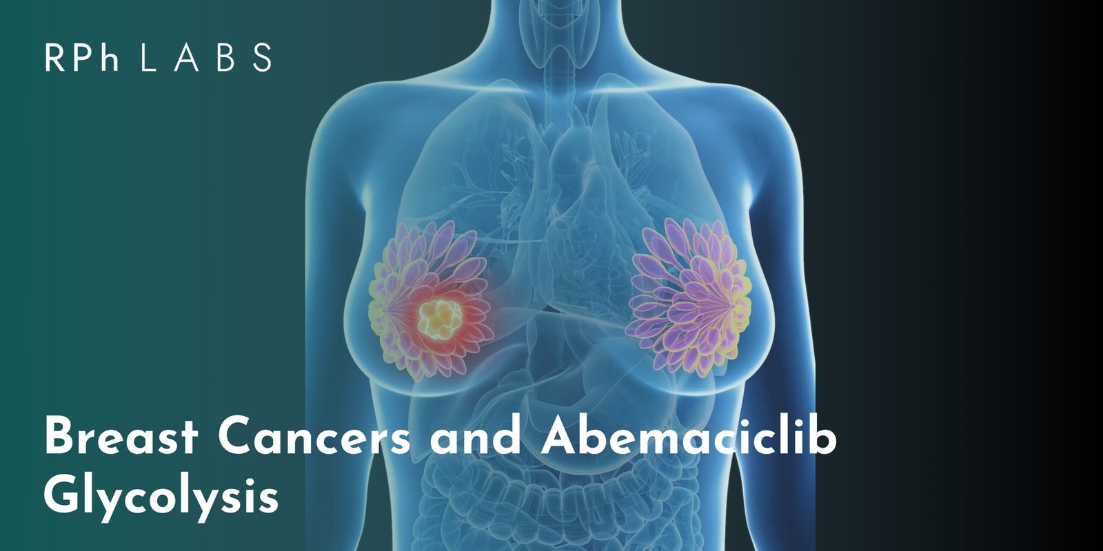 Breast Cancers and Abemaciclib Glycolysis