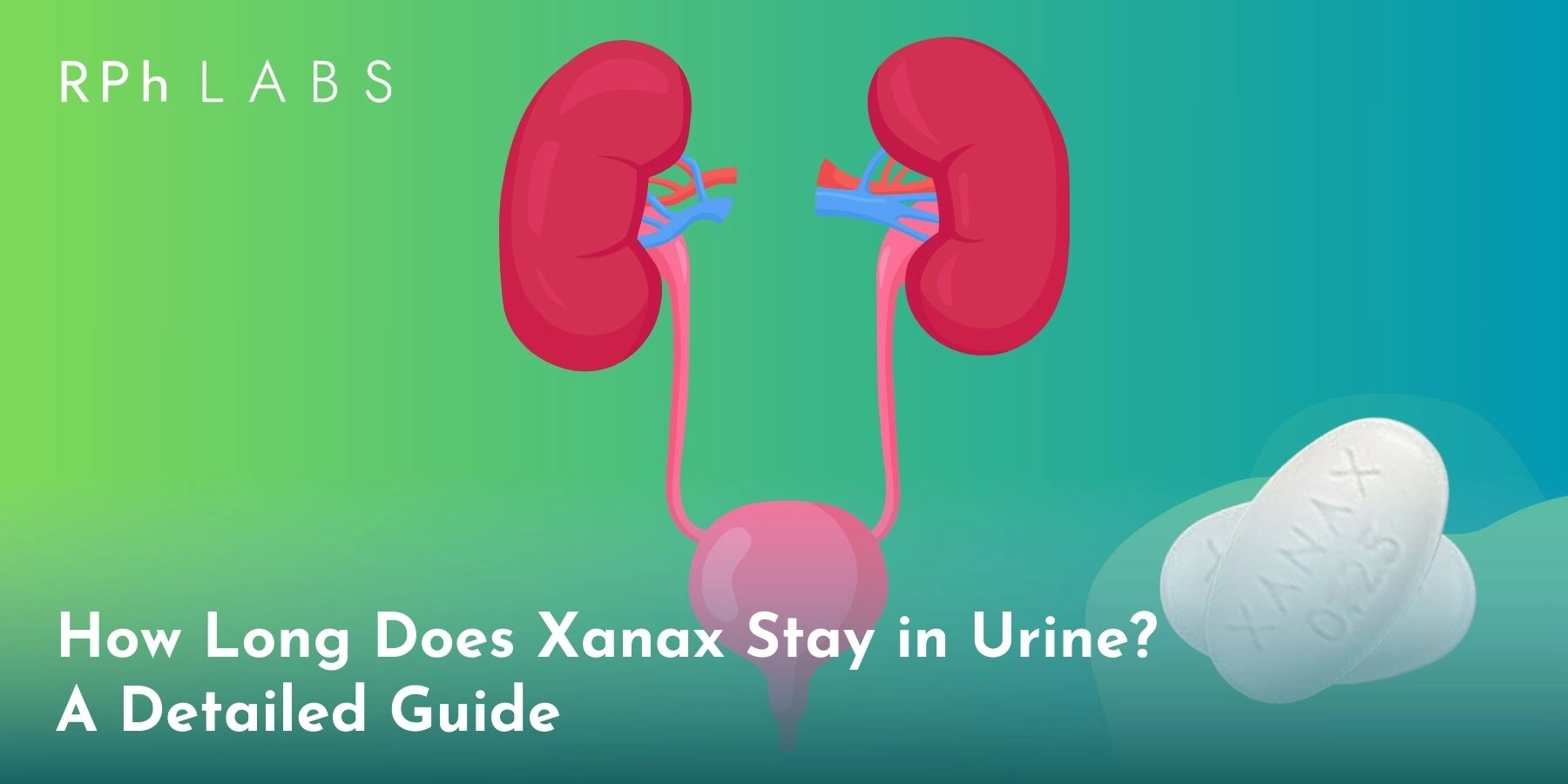 How long does Xanax stay in urine