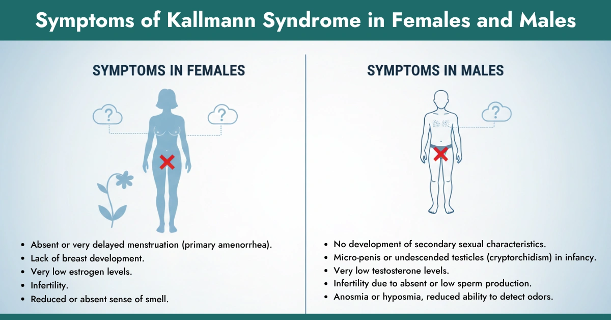 Symptoms of Kallmann Syndrome in Females and Males